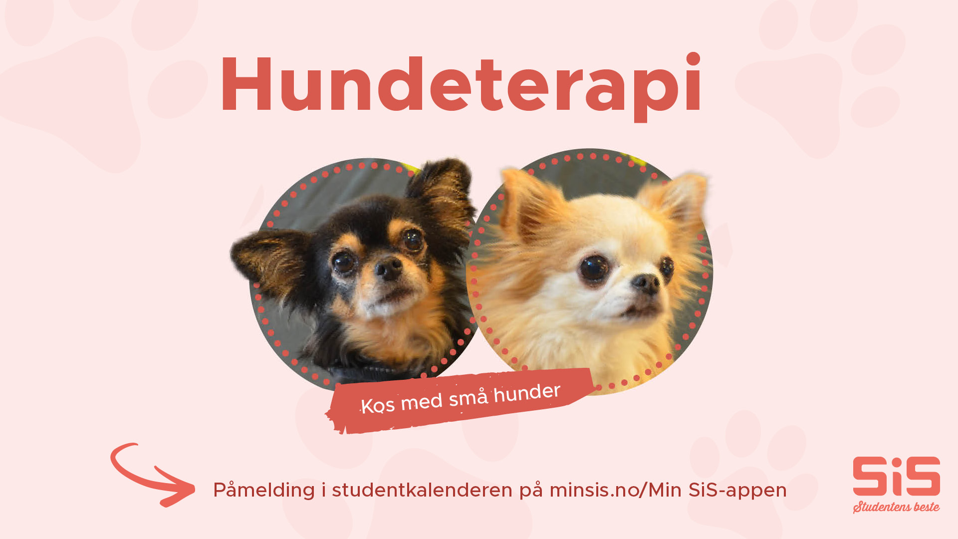 Kursbilde